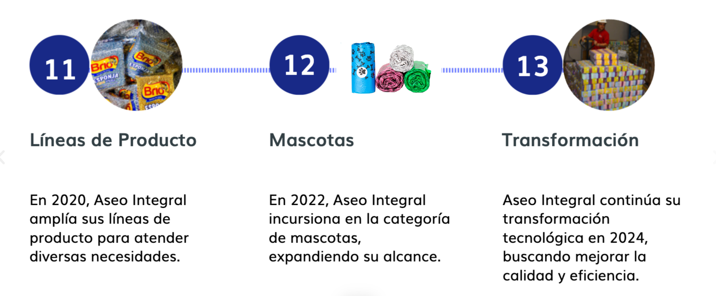 Acerca de Aseo Integral – Nuestra Historia y Valores
