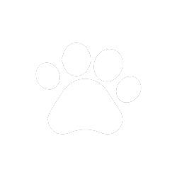 SET_Icono Mascotas Brio